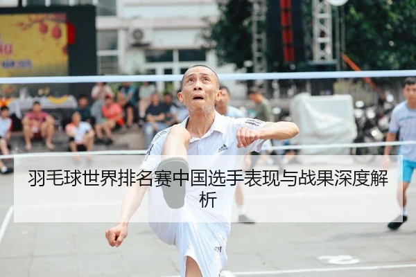 羽毛球世界排名赛中国选手表现与战果深度解析